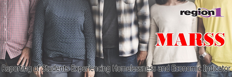 Reporting of Students Experiencing Homelessness and Economic Indicator